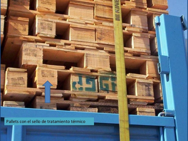 Global Pallets Argentina