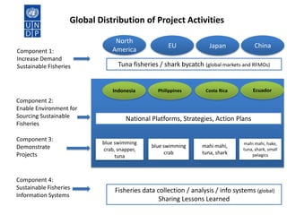 Global Distribution of Project Activities
Component 1:
Increase Demand
Sustainable Fisheries

North
America

Component 3:
Demonstrate
Projects

Component 4:
Sustainable Fisheries
Information Systems

China

Japan

Tuna fisheries / shark bycatch (global markets and RFMOs)

Indonesia

Component 2:
Enable Environment for
Sourcing Sustainable
Fisheries

EU

Philippines

Ecuador

Costa Rica

National Platforms, Strategies, Action Plans
blue swimming
crab, snapper,
tuna

blue swimming
crab

mahi mahi,
tuna, shark

mahi mahi, hake,
tuna, shark, small
pelagics

Fisheries data collection / analysis / info systems (global)
Sharing Lessons Learned

 