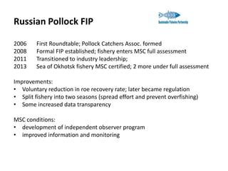 Russian Pollock FIP
2006
2008
2011
2013

First Roundtable; Pollock Catchers Assoc. formed
Formal FIP established; fishery enters MSC full assessment
Transitioned to industry leadership;
Sea of Okhotsk fishery MSC certified; 2 more under full assessment

Improvements:
• Voluntary reduction in roe recovery rate; later became regulation
• Split fishery into two seasons (spread effort and prevent overfishing)
• Some increased data transparency
MSC conditions:
• development of independent observer program
• improved information and monitoring

 