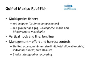 Gulf of Mexico Reef Fish
• Multispecies fishery
– red snapper (Lutjanus campechanus)
– red grouper and gag (Epinephelus morio and
Mycteroperca microlepis)

• Vertical hook and line; longline
• Management – effort and harvest controls
– Limited access, minimum size limit, total allowable catch;
individual quotas; area closures
– Stock status good or recovering

 