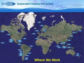 Where We Work
www.sustainablefish.org

 
