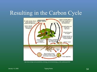 Resulting in the Carbon Cycle http://www.energex.com.au/switched_on/energy_environment/energy_s_html_carboncycle.html 