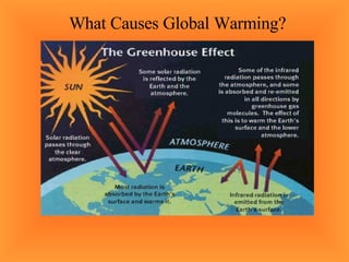 What Causes Global Warming? 