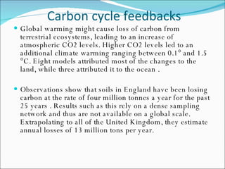 Carbon cycle feedbacks Global warming might cause loss of carbon from terrestrial ecosystems, leading to an increase of atmospheric CO2 levels. Higher CO2 levels led to an additional climate warming ranging between 0.1° and 1.5 °C. Eight models attributed most of the changes to the land, while three attributed it to the ocean . Observations show that soils in England have been losing carbon at the rate of four million tonnes a year for the past 25 years . Results such as this rely on a dense sampling network and thus are not available on a global scale. Extrapolating to all of the United Kingdom, they estimate annual losses of 13 million tons per year.  