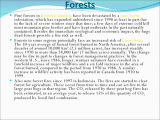 Forests Pine forests in  British Columbia  have been devastated by a  pine beetle  infestation, which has expanded unhindered since 1998 at least in part due to the lack of severe winters since that time; a few days of extreme cold kill most mountain pine beetles and have kept outbreaks in the past naturally contained. Besides the immediate ecological and economic impact, the huge dead forests provide a fire risk as well. Forests in some regions potentially face an increased risk of  forest fires . The 10-year average of boreal forest burned in North America, after several decades of around 10,000 km² (2.5 million acres), has increased steadily since 1970 to more than 28,000 km² (7 million acres) annually. This change may be due in part to changes in forest management practices. In the western U. S., since 1986, longer, warmer summers have resulted in a fourfold increase of major wildfires and a six fold increase in the area of forest burned, compared to the period from 1970 to 1986. A similar increase in wildfire activity has been reported in Canada from 1920 to 1999. Also note forest fires since 1997 in Indonesia. The fires are started to clear forest for agriculture. These occur from time to time and can set fire to the large peat bogs in that region. The CO 2  released by these peat bog fires has been estimated, in an average year, to release 15% of the quantity of CO 2  produced by fossil fuel combustion.  