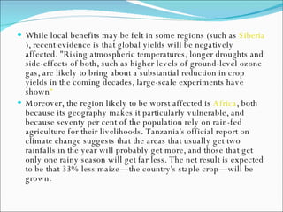 While local benefits may be felt in some regions (such as  Siberia ), recent evidence is that global yields will be negatively affected. "Rising atmospheric temperatures, longer droughts and side-effects of both, such as higher levels of ground-level ozone gas, are likely to bring about a substantial reduction in crop yields in the coming decades, large-scale experiments have shown “   Moreover, the region likely to be worst affected is  Africa , both because its geography makes it particularly vulnerable, and because seventy per cent of the population rely on rain-fed agriculture for their livelihoods. Tanzania's official report on climate change suggests that the areas that usually get two rainfalls in the year will probably get more, and those that get only one rainy season will get far less. The net result is expected to be that 33% less maize—the country's staple crop—will be grown. 