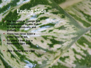 Ending Slide The decision to change this situation must be one that is made individually and globally. There has never been a better time to act. Go plant a tree, buy a florescent light bulb (this is where you clap) 