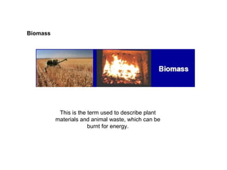 Biomass This is the term used to describe plant materials and animal waste, which can be burnt for energy. 