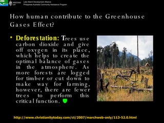 How human contribute to the Greenhouse Gases Effect? Deforestation:  T rees use carbon dioxide and give off oxygen in its place, which helps to create the optimal balance of gases in the atmosphere. As more forests are logged for timber or cut down to make way for farming, however, there are fewer trees to perform this critical function.    http://www.christianitytoday.com/ct/2007/marchweb-only/113-52.0.html 