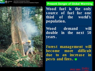 Wood demand will double in the next 50 years. Forest management will become more difficult due to an increase in pests and fires.   Present Danger of Global Warming Wood fuel is the only source of fuel for one third of the world’s population. IPCC 2001 Hadley Centre 