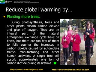 Planting more trees. During photosynthesis, trees and other plants absorb carbon dioxide and give off oxygen. They are an integral part of the natural atmospheric exchange cycle here on Earth, but there are too few of them to fully counter the increases in carbon dioxide caused by automobile traffic, manufacturing and other human activities. A single tree will absorb approximately one ton of carbon dioxide during its lifetime.   Reduce global warming by… http://www.christianitytoday.com   http://environmentalist.article-ok.com .  