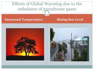 Increased Temperature Rising Sea Level Effects of Global Warming due to the unbalance of greenhouse gases 