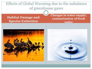 Habitat Damage and Species Extinction Changes in water supply; contamination of fresh water Effects of Global Warming due to the unbalance of greenhouse gases 