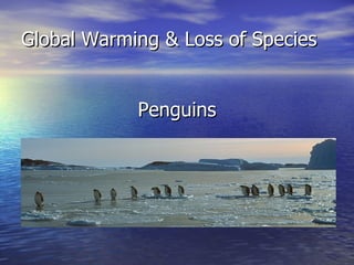Global Warming & Loss of Species ,[object Object]