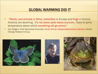 “ Plants, and animals in Africa ,  butterflies  in Europe and  frogs  in Central America are declining.  It’s not about polar bears anymore.  There is some temperature above which  everything will go extinct. ”  Guy Midgley, Chief Specialists Scientists,  South African National Biodiversity Institute’s  Global Change Research Group.  