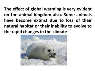 The effect of global warming is very evident
on the animal kingdom also. Some animals
have become extinct due to loss of their
natural habitat or their inability to evolve to
the rapid changes in the climate
 