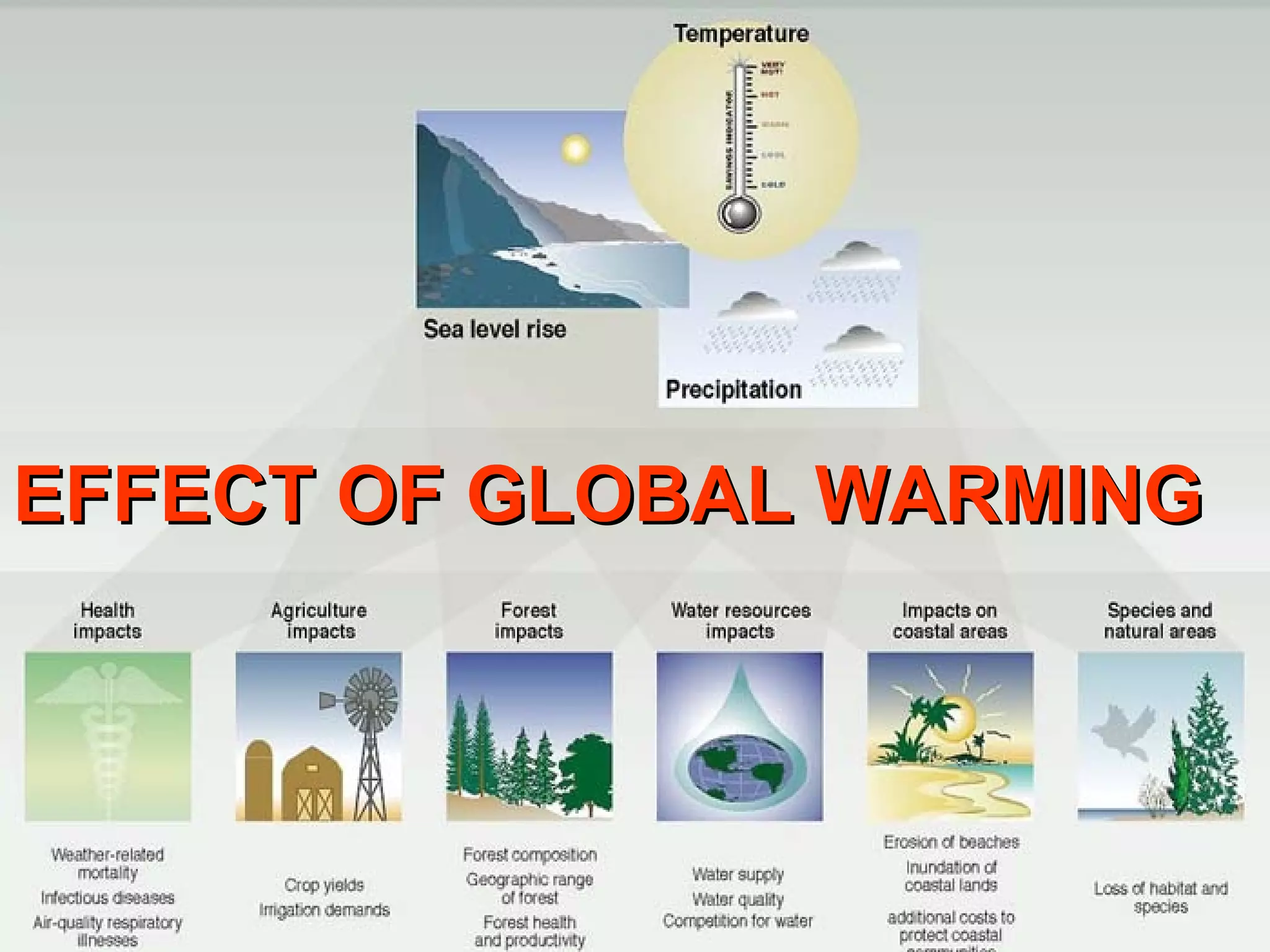 EFFECT OF GLOBAL WARMING 