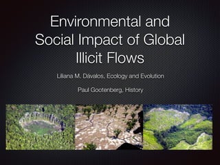 Environmental and 
Social Impact of Global 
Illicit Flows 
Liliana M. Dávalos, Ecology and Evolution 
Paul Gootenberg, History 
 