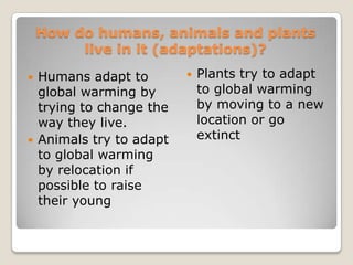 Widespread melting of snow and ice