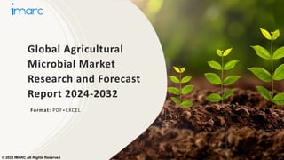 Global Agricultural
Microbial Market
Research and Forecast
Report 2024-2032
Format: PDF+EXCEL
© 2023 IMARC All Rights Reserved
 