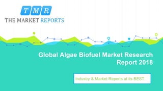 Global Algae Biofuel Market Research
Report 2018
Industry & Market Reports at its BEST.
 