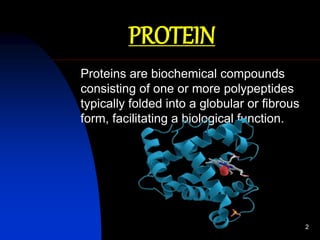 Global analysis of protein | PPT