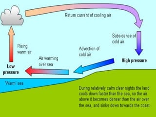 Global and local winds | PPT