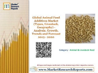 www.MarketResearchReports.com
Category : Animal & Livestock Feed
All logos and Images mentioned on this slide belong to their respective owners.
 