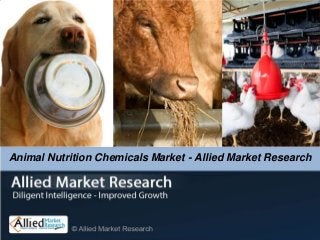 Animal Nutrition Chemicals Market - Allied Market Research
 