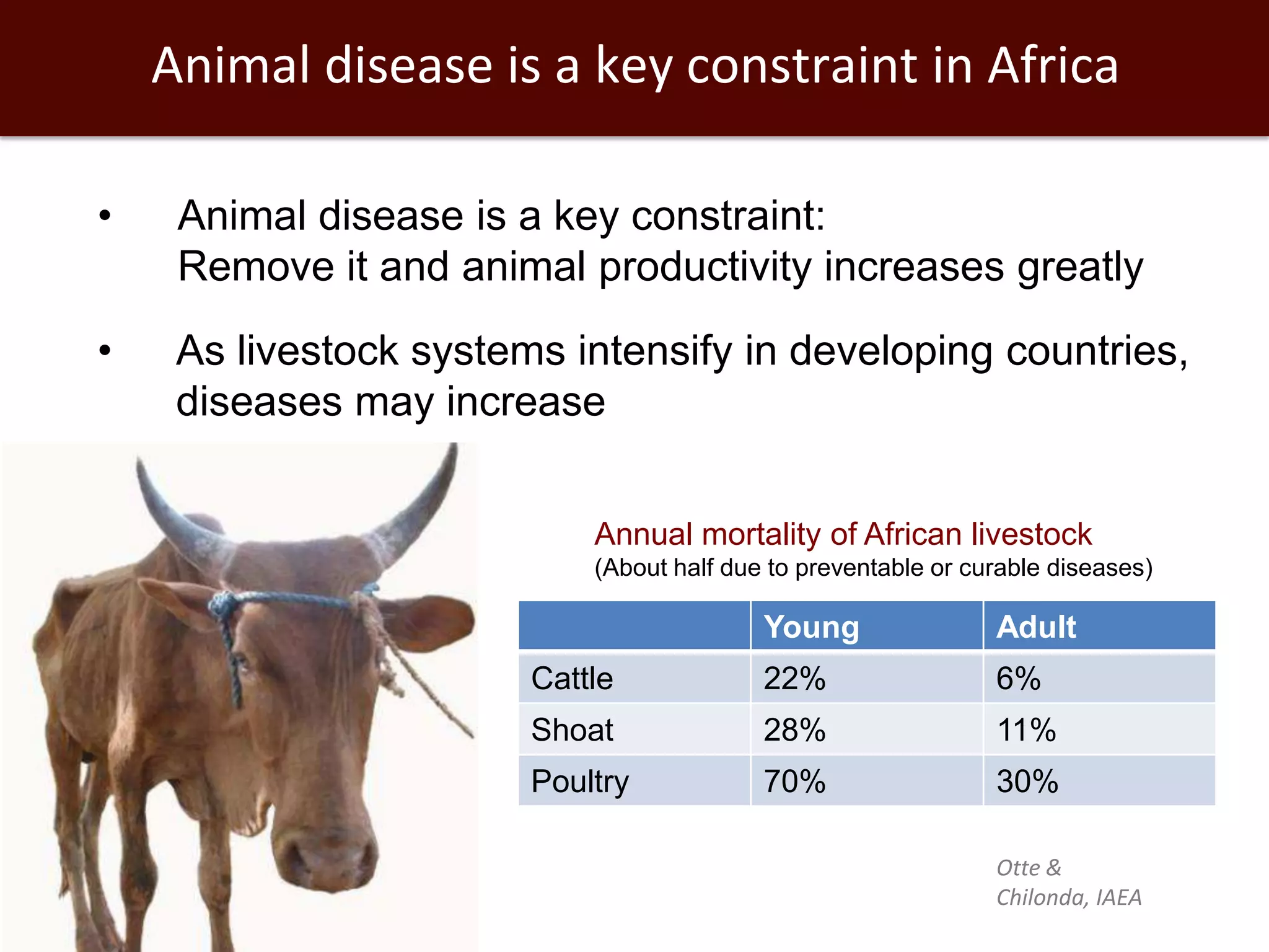 Animal disease is a key constraint in Africa
•

Animal disease is a key constraint:
Remove it and animal productivity increases greatly

•

As livestock systems intensify in developing countries,
diseases may increase
Annual mortality of African livestock
(About half due to preventable or curable diseases)

Young

Adult

Cattle

22%

6%

Shoat

28%

11%

Poultry

70%

30%
Otte &
Chilonda, IAEA

 