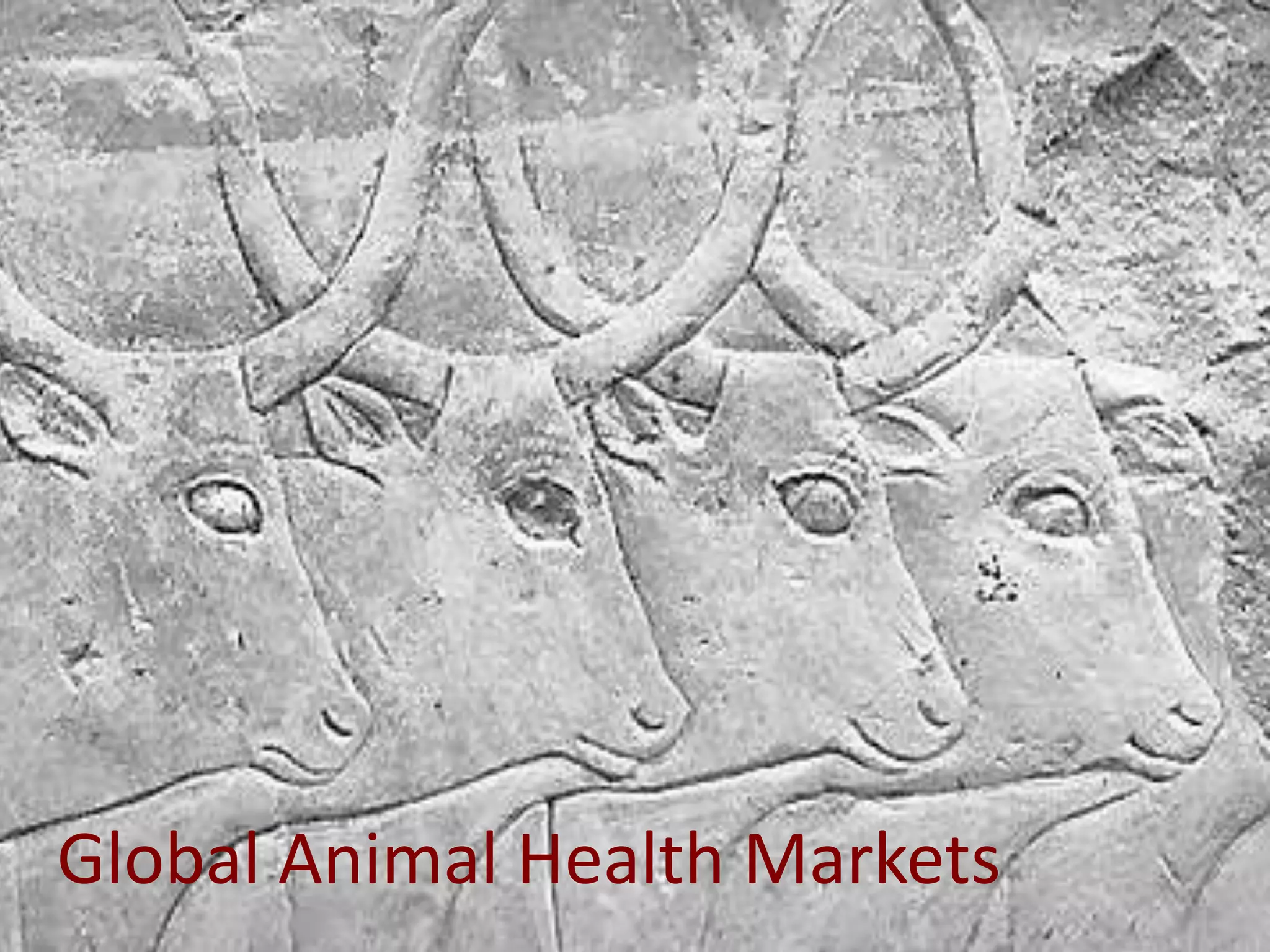 Global Animal Health Markets

 