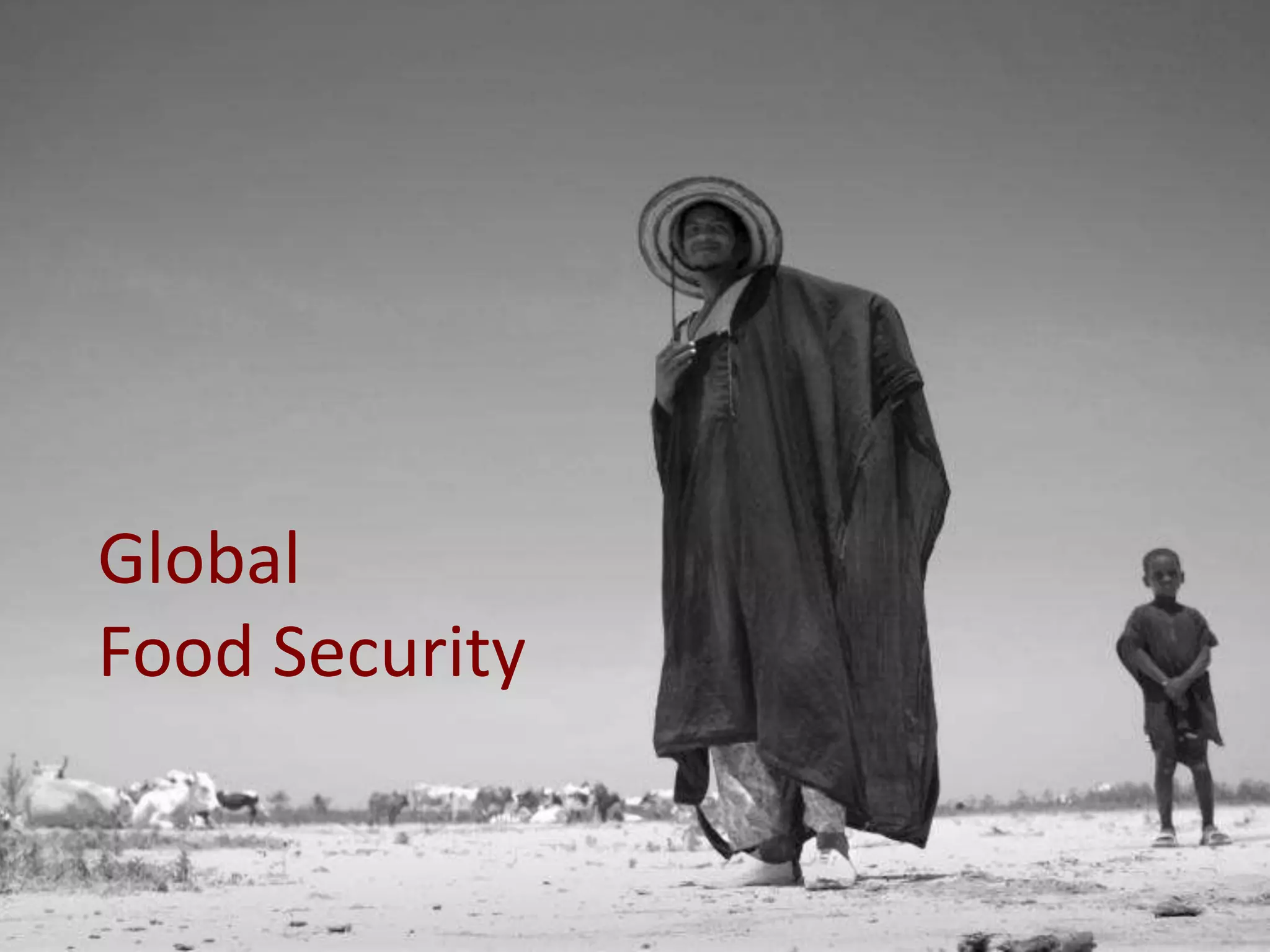 Global
Food Security

 