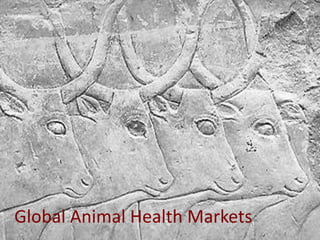 Global health and sustainable food security: Why the livestock sectors of developing countries matter