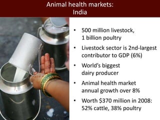 Global health and sustainable food security: Why the livestock sectors of developing countries matter