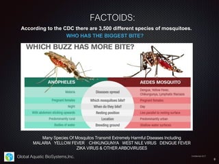According to the CDC there are 3,500 different species of mosquitoes.
WHO HAS THE BIGGEST BITE?
FACTOIDS:
Global Aquatic B...