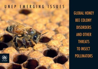   UNEP EMERGING ISSUES
                         GLOBAL HONEY
                         BEE COLONY 
                          DISORDERS
                          AND OTHER
                           THREATS
                          TO INSECT 
                         POLLINATORS
 