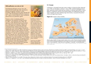 2.1	 Europe
     Wild pollinators are also at risk
                                                                                                                  A decrease in managed honey bee colony numbers in Europe has been observed
     Animal-based pollination services, from wild                                                                 since 1965, but the pattern is diverse14. Since 1998, individual beekeepers have
     species like the bumble bee, foster reproductive                                                             been reporting unusual weakening and mortality in colonies, particularly in France,
     potential and genetic resilience in many                                                                     Belgium, Switzerland, Germany, the United Kingdom, the Netherlands, Italy and
     ecosystems. Although conclusive data indicates that                                                          Spain. Mortality has been extremely high when activity is resumed at the end of
     some 1 200 wild vertebrate pollinators may be at                                                             winter and beginning of spring.
     risk10, there is a lack of data on many invertebrate
     species that act as pollination agents.                                                                      Figure 3: European colony mortality

     Threats to certain invertebrate pollinator                       Bumblebees are highly social,
     populations were reported in Europe as early                     like honeybees, but with
                                                                      smaller, less structured nests,                                                                                                                                             16
     as 198011, and confirmed in the 1990s. The                                                                                                                                                                                                    10
                                                                      that can consist of up to 1 000                                                                                                                 17
     regression mostly affected long-tongued species;                                                                                                                                               10                12
                                                                      bees. Bumblebee colonies are                                                                                                                                                      8-10
     this is likely due to the reduction in plants with
                                                                      annual; the entire colony dies                                                                                                32.8
     long inner petals (e.g. Lamiaceae, Fabaceae,                                                                                          15-20                                                       7
                                                                      out each year and leaves only                                                                                   23
     Scrophulariaceae). A British and Dutch study                     mated queens to hibernate
                                                                                                                                                             27-33                    15
                                                                                                                                                                                                                                      15.3
                                                                                                                                                                12                                    8-16
     showed that in the United Kingdom (UK) and the                   through winter. The queen will                                                                                                       9
     Netherlands alone, since the 1980s a 70% drop in                                                                                                                                                                                   11.25
                                                                      start a new colony in spring.                                                                                                                     13.3             10-30                      >20
                                                                                                                                                                       29.3                  18
     wild flowers requiring insect pollination has been               Bumblebees pollinate tomatoes,                                                                                                       10-40                  27
                                                                                                                                                                                                           40-50
     recorded, as well as a shift in pollinator community             eggplants, peppers, raspberries,                                                                                                                                                                    10
     composition12. In the UK, many pollinator species                blackberries, strawberries,                                             14-89                                                                                                                                           30
     that were relatively rare in the past are becoming               blueberries, and cranberries,
     rarer, while more common species have become                     just to name a few. Bumblebees                                                                                                                                                    12-15
     widespread. It was also found that 71% of butterfly              are the only pollinators of potato                     G R I D                                                                                                            Cartography: UNEP/DEWA/GRID-Europe, December 2009
                                                                                                                             E u r o p e              The boundaries and names shown and the designations used on maps and graphics do not imply official endorsement or acceptance by the United Nations
     species have decreased and 3.4% became extinct                   flowers worldwide.
     over the past 20 years, illustrating the highest net                                                         Data for colony mortality in European countries remains scarce or uneven. The most recent data compiled
                                                                      Honey bee, Apis mellifera.
     loss compared to native flowering plants (28%                                                                by the COLOSS working group indicates that winter losses are common and the main pathogen during this
                                                                      Photo courtesy of David
     decrease in 40 years) and birds (54% decrease                                                                season is Varroa destructor15. Other factors such as pathogens16 or pesticides17 are also being studied.
                                                                      Cappaert, Michigan State
                                                                                                                  Source: In black 2007-2008 mortality (COLOSS, Zagreb meeting proceedings), in red 2006-2007 mortality
     over 20 years) in the same UK region13.                          University, Bugwood.org
                                                                                                                  (EFSA members poll)



__________________________________
10
   	 Allen-Wardell G., Bernhardt P. et al. 2008. “The Potential Consequences of Pollinator Declines on the Conservation of Biodiversity and Stability of Food Crop Yields”. Conservation Biology, vol. 12, num. 1, p. 8-17.
11
   	 Leclercq J. et al. 1980. “Analyse des 1600 premières cartes de l’Atlas Provisoire des Insectes de Belgique, et première liste rouge d’insectes menacés dans la faune belge”. Notes Fauniques de Gembloux 4: 104 pp.
12
   	 Biesmeijer J.C., Roberts S. P. M. et al. 2006. “Parallel Declines in Pollinators and Insect-Pollinated Plants in Britain and the Netherlands”. Science: Vol. 313. no. 5785, pp. 351 – 354.
13
   	 Thomas J. A., Telfer M. G. et al. 2004. “Comparative Losses of British Butterflies, Birds, and Plants and the Global Extinction Crisis”. Science: Vol. 303. no. 5665, pp. 1879 – 1881.
14
   	 Potts S.G. et al. 2010. “Declines of managed honey bees and beekeepers in Europe”. Journal of Apicultural Research 49(1): 15-22.
15
   	 Amdam, G. V., Hartfelder, K. et al. 2004. “Altered physiology in worker honey bees (Hymenoptera: Apidae) infested with the mite Varroa destructor (Acari: Varroidae): a factor in colony loss during overwintering?” J
     Econ. Entomol. 97, 741-747.
16
   	 Higes, M., Martin-Hernandez, R. et al. 2009. “Honey bee colony collapse due to Nosema ceranae in professional apiaries”. Environmental Microbiology Reports 10, 2659-2669.

                                                                                                                                                                                                                                                                                                            3
17
   	 Nguyen, B. K., Saegerman, C. et al. 2009. “Does imidacloprid seed-treated maize have an impact on honey bee mortality?”. Journal of Economic Entomology 102, 616-623.



G L O B A L            B E E         C O L O N Y            D I S O R D E R S                 A N D        O T H E R               T H R E A T S                          T O                    I N S E C T                                      P O L L I N A T O R S
 