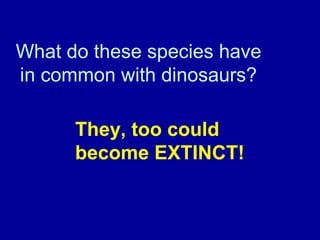 What do these species have
in common with dinosaurs?
They, too could
become EXTINCT!
 