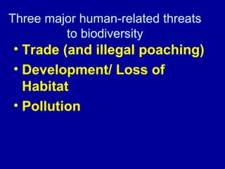 Three major human-related threats
to biodiversity
• Trade (and illegal poaching)
• Development/ Loss of
Habitat
• Pollution
 