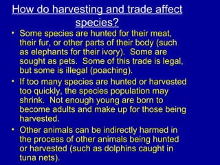 How do harvesting and trade affect
species?
• Some species are hunted for their meat,
their fur, or other parts of their body (such
as elephants for their ivory). Some are
sought as pets. Some of this trade is legal,
but some is illegal (poaching).
• If too many species are hunted or harvested
too quickly, the species population may
shrink. Not enough young are born to
become adults and make up for those being
harvested.
• Other animals can be indirectly harmed in
the process of other animals being hunted
or harvested (such as dolphins caught in
tuna nets).
 