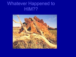 Whatever Happened to
HIM??
 