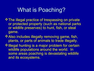 What is Poaching?
The illegal practice of trespassing on private
or protected property (such as national parks
or wildlife preserves) to hunt, fish, or steal
game.
Also includes illegally removing game, fish,
plants, or parts of animals to trade illegally.
Illegal hunting is a major problem for certain
wildlife populations around the world. In
some areas poaching is devastating wildlife
and its ecosystems.
 