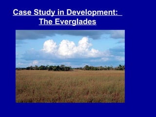 Case Study in Development:
The Everglades
 