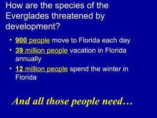 How are the species of the
Everglades threatened by
development?
• 900 people move to Florida each day
• 39 million people vacation in Florida
annually
• 12 million people spend the winter in
Florida
And all those people need…
 