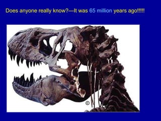 Does anyone really know?—It was 65 million years ago!!!!!
 