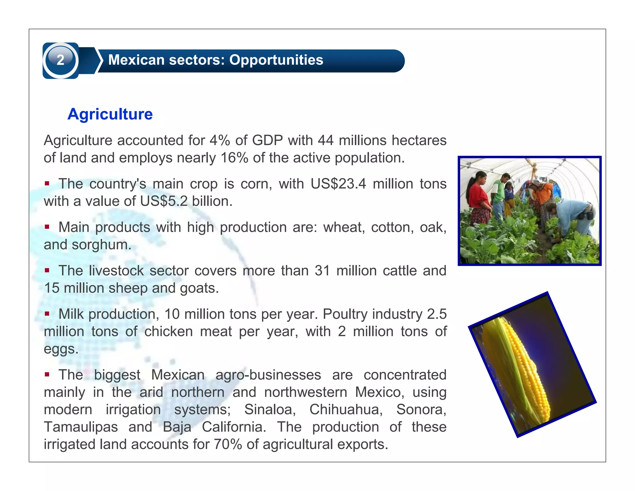 2        Mexican sectors: Opportunities


      Agriculture
Agriculture accounted for 4% of GDP with 44 millions hectares
of land and employs nearly 16% of the active population.
  The country's main crop is corn, with US$23.4 million tons
with a value of US$5.2 billion.
  Main products with high production are: wheat, cotton, oak,
and sorghum.
  The livestock sector covers more than 31 million cattle and
15 million sheep and goats.
  Milk production, 10 million tons per year. Poultry industry 2.5
million tons of chicken meat per year, with 2 million tons of
eggs.
    The biggest Mexican agro-businesses are concentrated
mainly in the arid northern and northwestern Mexico, using
modern irrigation systems; Sinaloa, Chihuahua, Sonora,
Tamaulipas and Baja California. The production of these
irrigated land accounts for 70% of agricultural exports.
 
