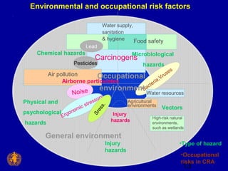 Environmental and occupational risk factors 
Water resources 
13 
Carcinogens 
Air pollution 
Occupational 
environment 
A...