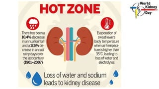 GLOBAL BURDEN
• Chronic kidney disease is a worldwide public health problem,
a social calamity and an economic catastrophe...