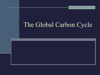 The Global Carbon Cycle 
