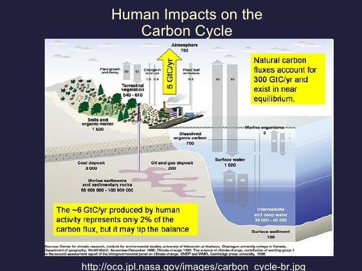 balance sheet of the carbon cycle Balance sheet of the carbon cycle topics: bacteria, dna, photosynthesis pages: 9 (1537 words) published: november 28, 2013 scientists estimate that the atmosphere holds 755 gigatonnes (gt) of carbon, mostly as carbon dioxide. balance sheet of the carbon cycle Balance sheet of the carbon cycle topics: bacteria, dna, photosynthesis pages: 9 (1537 words) published: november 28, 2013 scientists estimate that the atmosphere holds 755 gigatonnes (gt) of carbon, mostly as carbon dioxide.